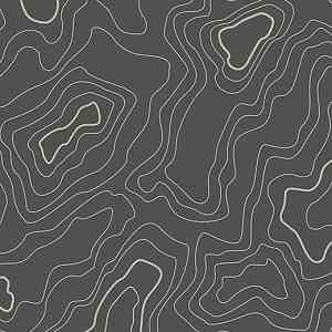 Линолеум FORBO Modul'up Compact Graphic 919UP43C grey topography фото ##numphoto## | FLOORDEALER